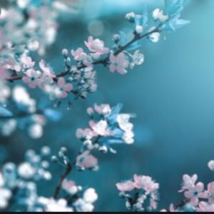 Meet your Posher, Lili